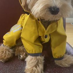 Waterproof PuppyDog Raincoat ( Medium) 