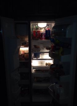 Ge profile stainless steel fridge