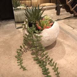 NEW with $16.99 price tag - Artificial succulent garden. 5 inch