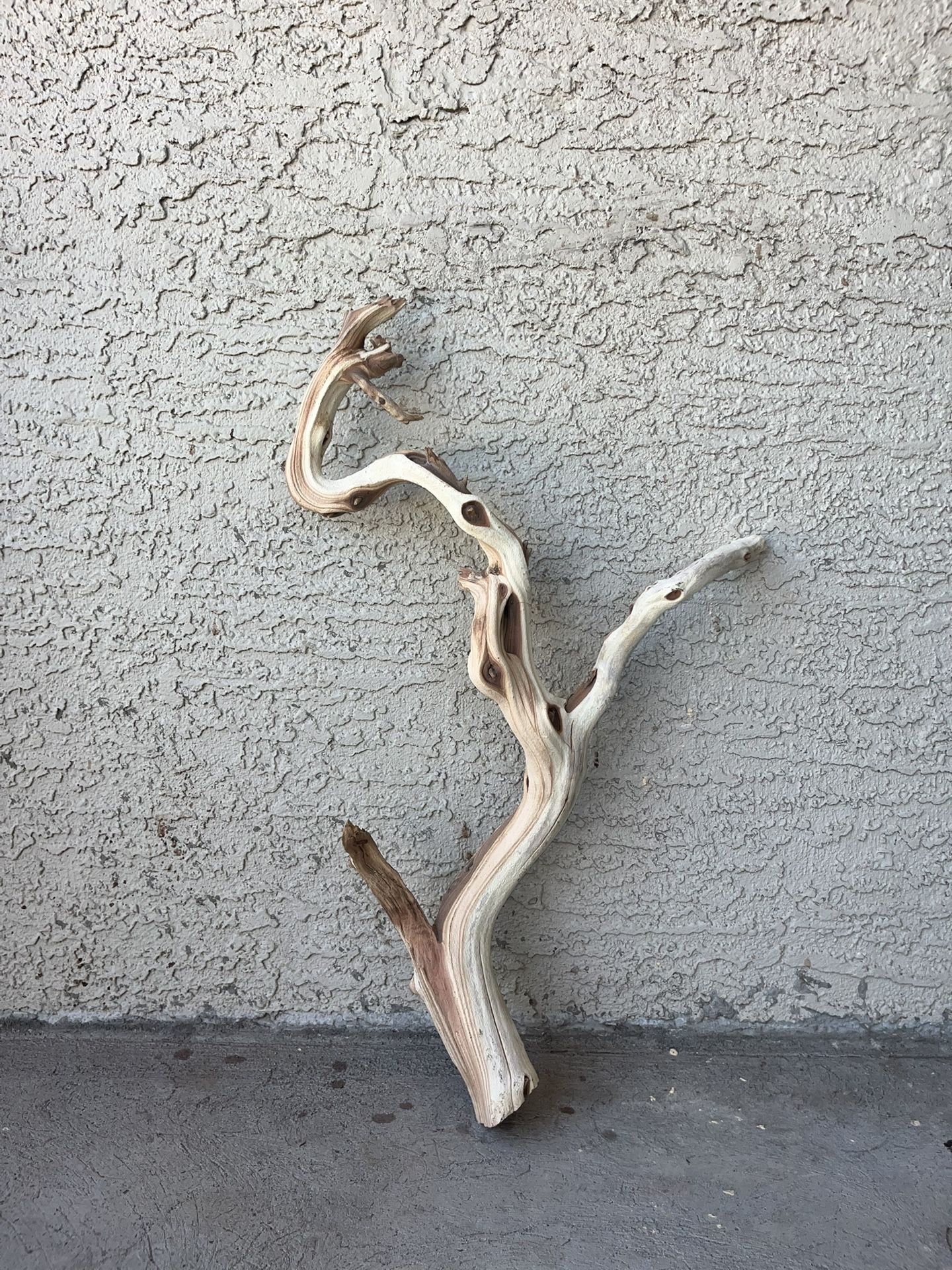 Driftwood: Aquarium, Terrarium, home decor