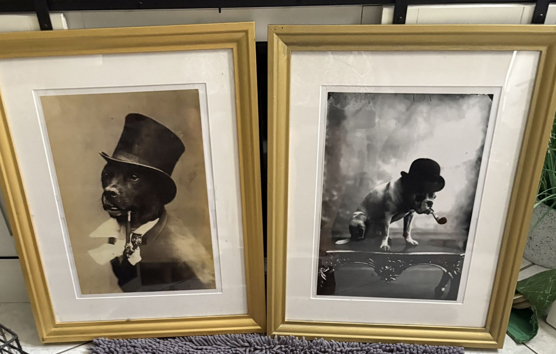 Whimsical Dog Pictures /Gold Frames