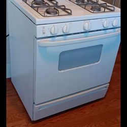 Gas Stove