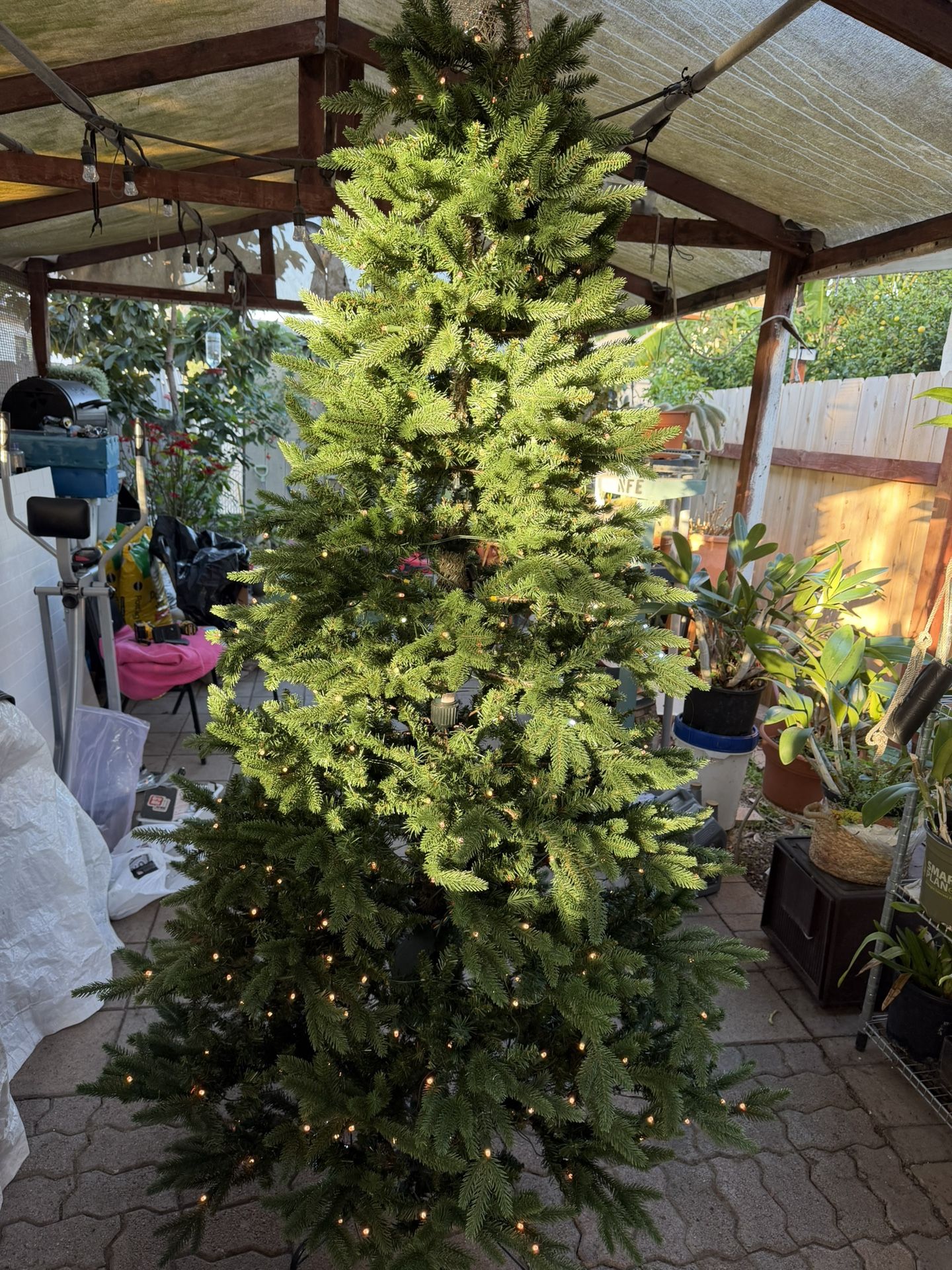 Christmas Tree 7 Feet Tall