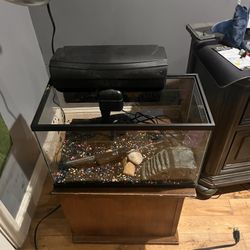10 Gallon Fish Tank 