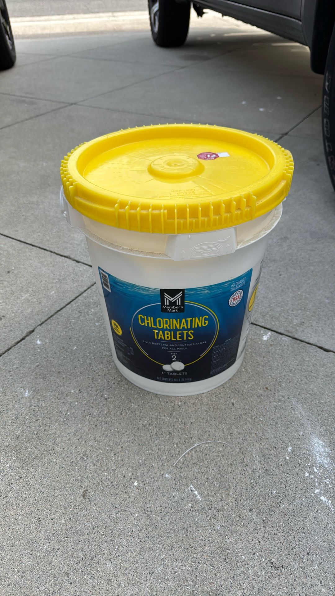 Chlorinating Tablets 3” 40 Pounds LB Member’s Mark Chlorine