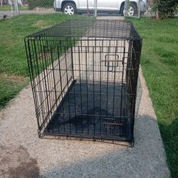 Dog Pen