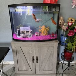 Fish Tank 36 Gallons bow Front 