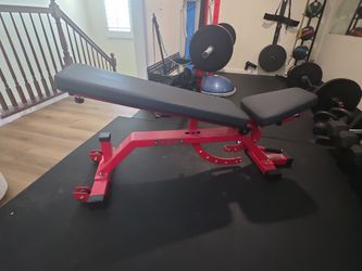 Rep fitness bench