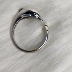 Silver Ring 