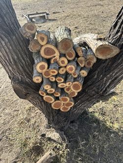 Fire Wood
