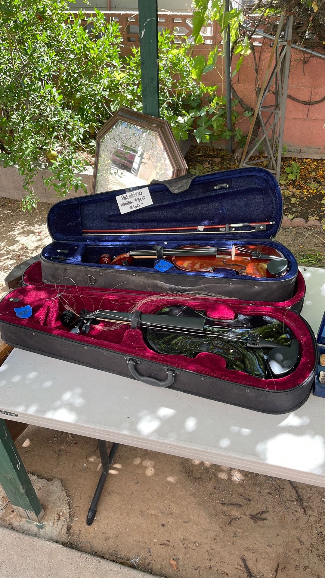 Violin