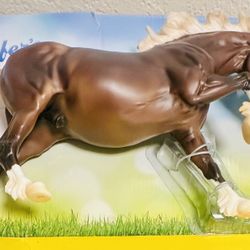 Surfer's Riptide | Chincoteague Pony SKU B-TR-10289