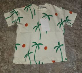 Zara boys tee new