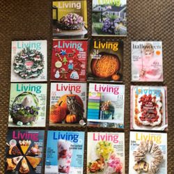 Magazines (entire lot)