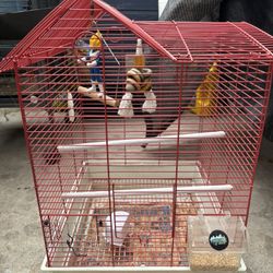 Bird Cage 