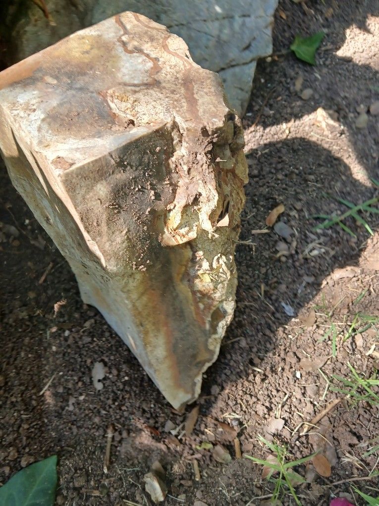 Rainbow Eucalyptis Petrified Wpod ( Various Sizes And Weights) My Largest Is 4 Feet Tall And Weighs 124 Lbs