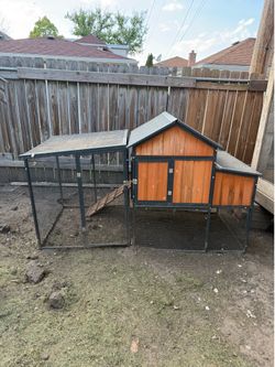 Chicken cup