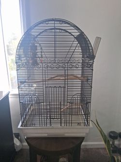 Bird cage
