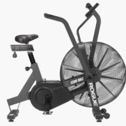 Rogue Echo Bike 