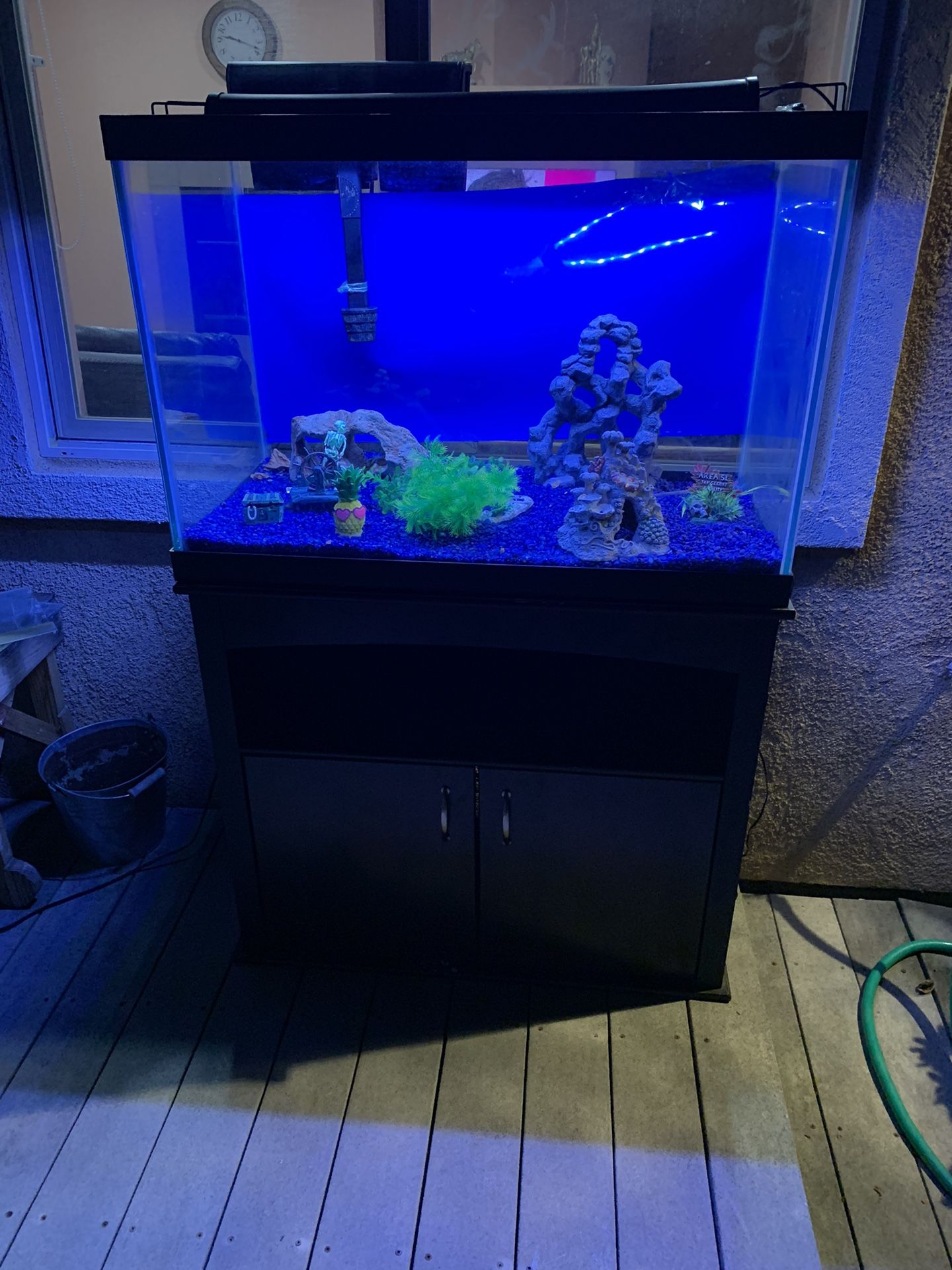 40 Gallon Fish Tank With Stand And A lot Of Stuff