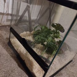 Terrarium $60