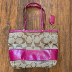 Coach No. D0(contact info removed)9 Signature Khaki Berry Stripe Leather Tote Handbag, Vintage