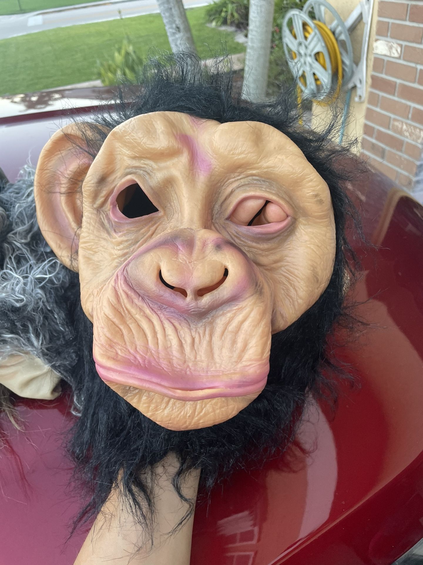 Monkey Mask