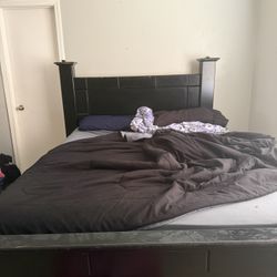 Queen Size Bed (black)