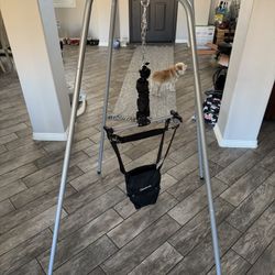 FREE Baby Bouncer Swing Jumper 