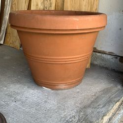 Flower Pot 