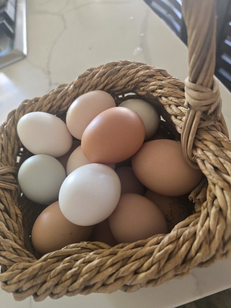 Fresh Farm Eggs