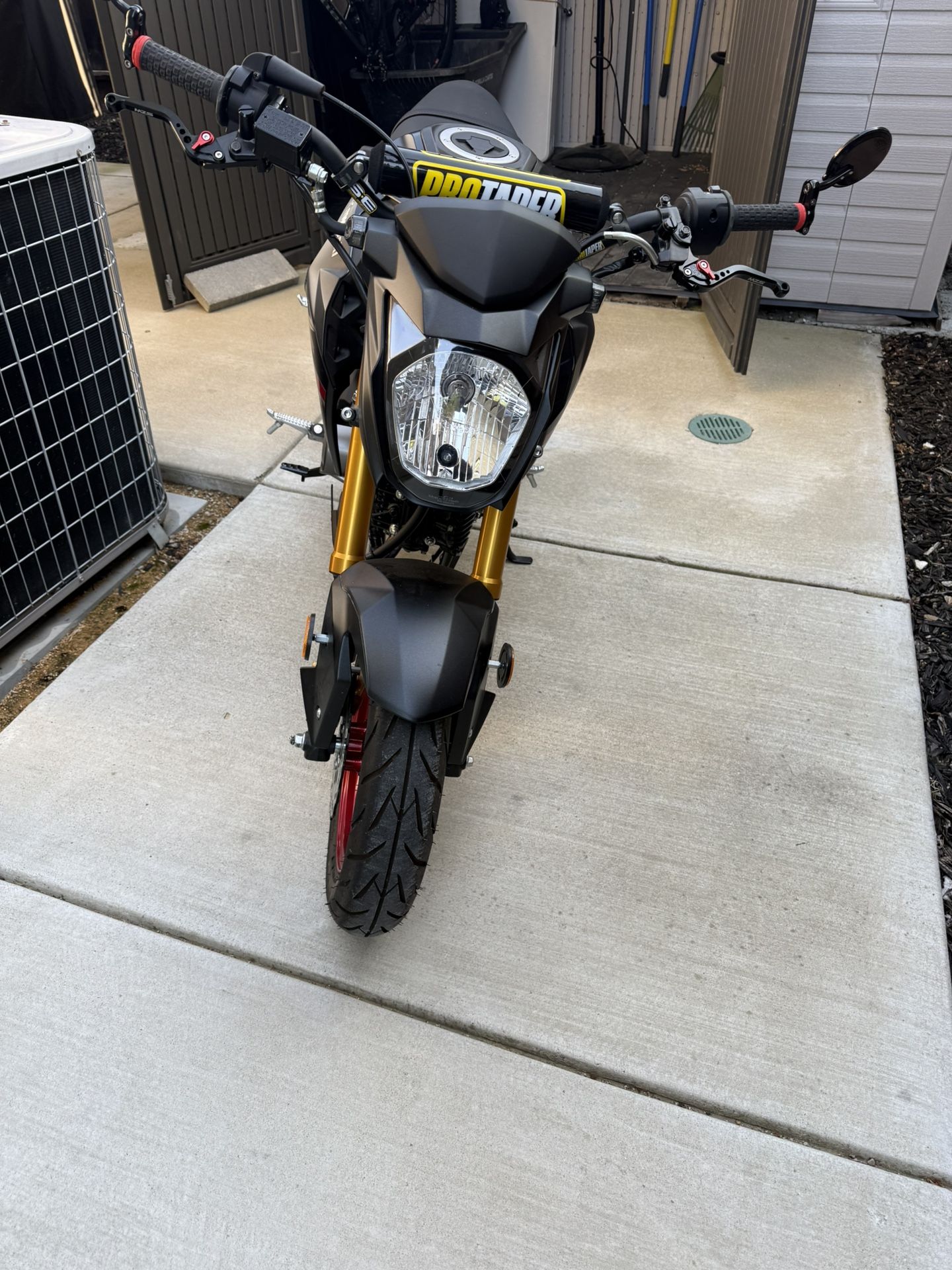 2022 Kawasaki Z125 Pro