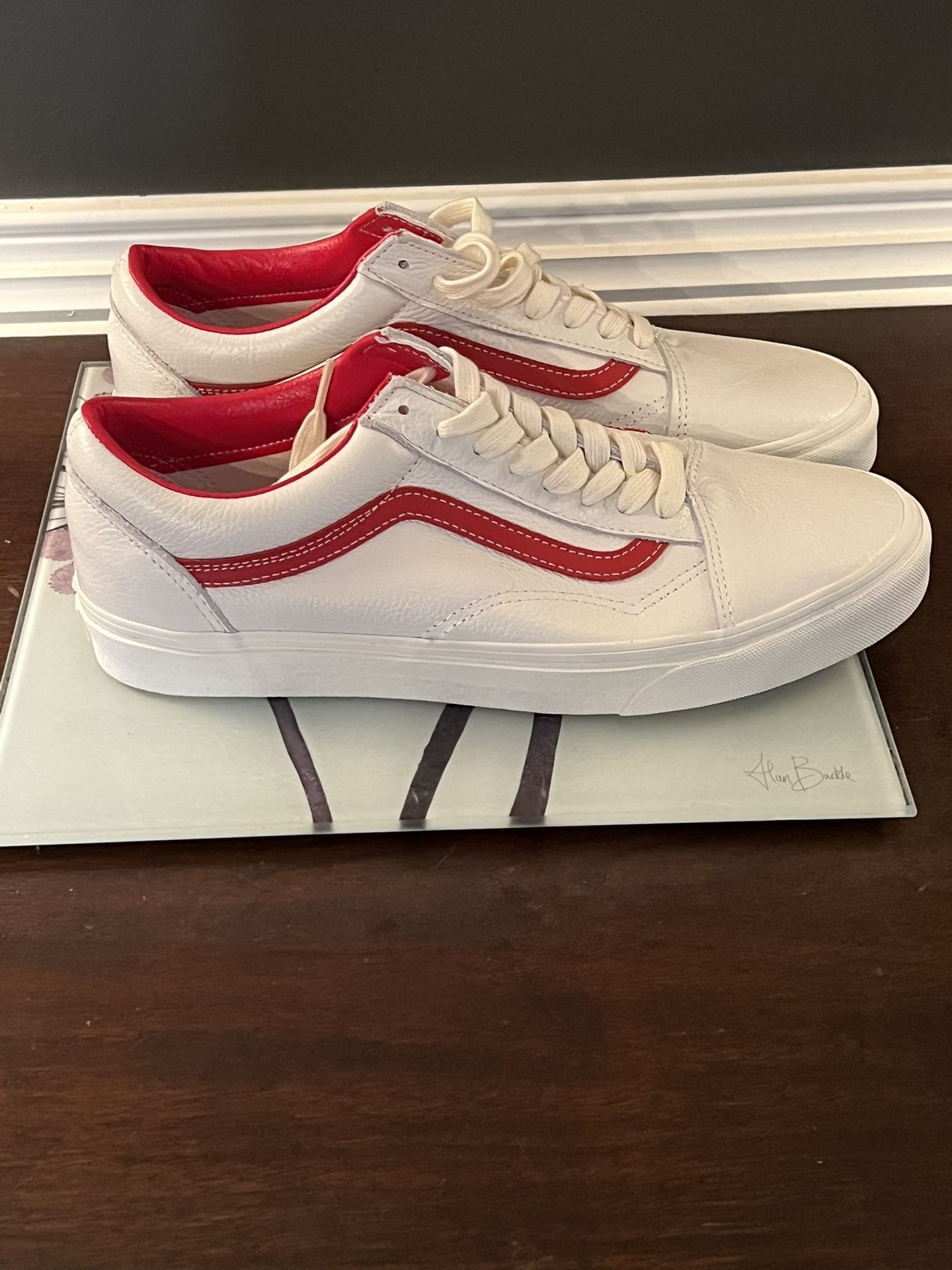 Vans Brand New Size 10.5