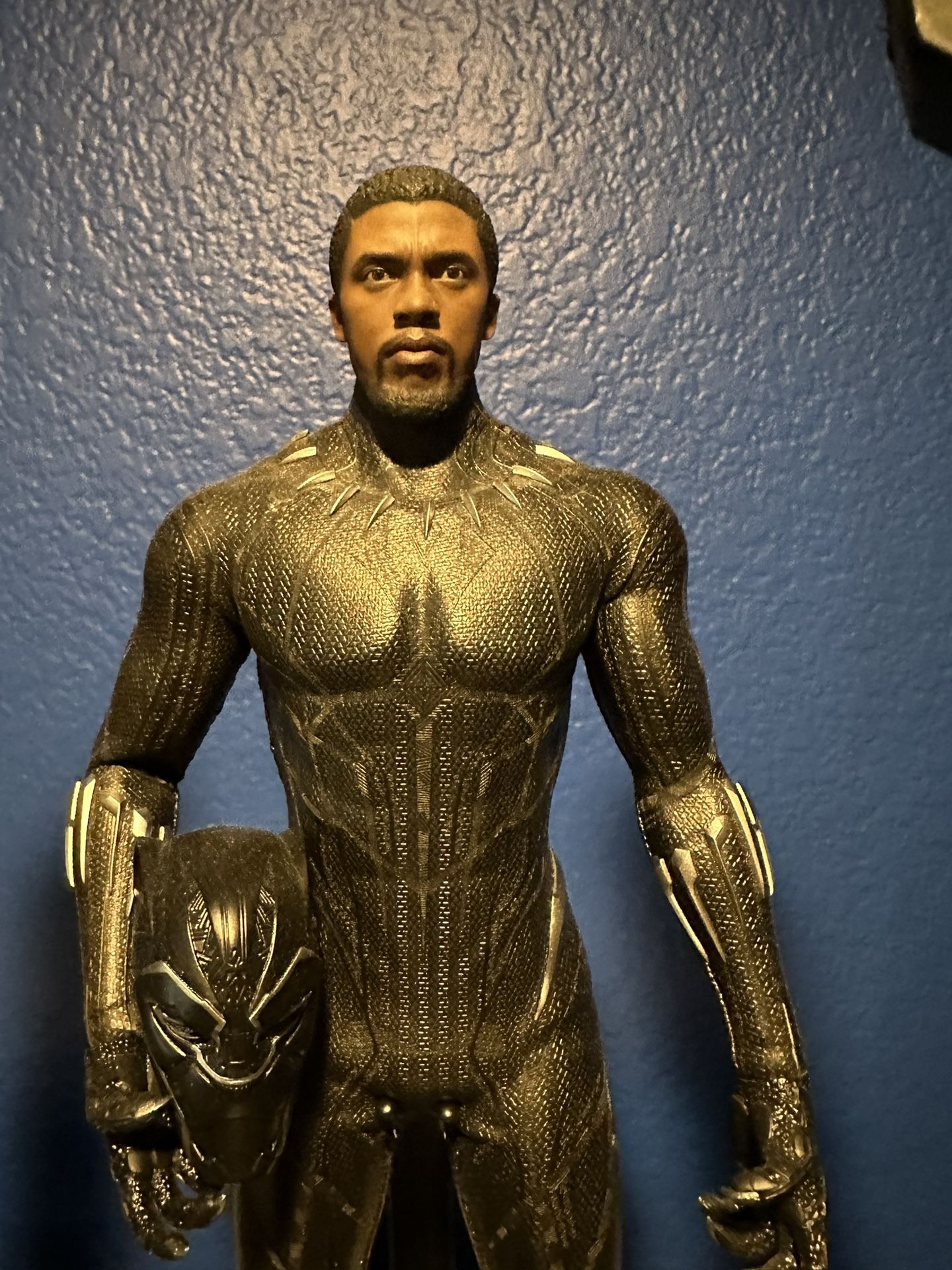 Hot Toys Black Panther Figure Set Exclusive !