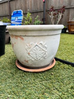 Plant terracotta pot with attached saucer