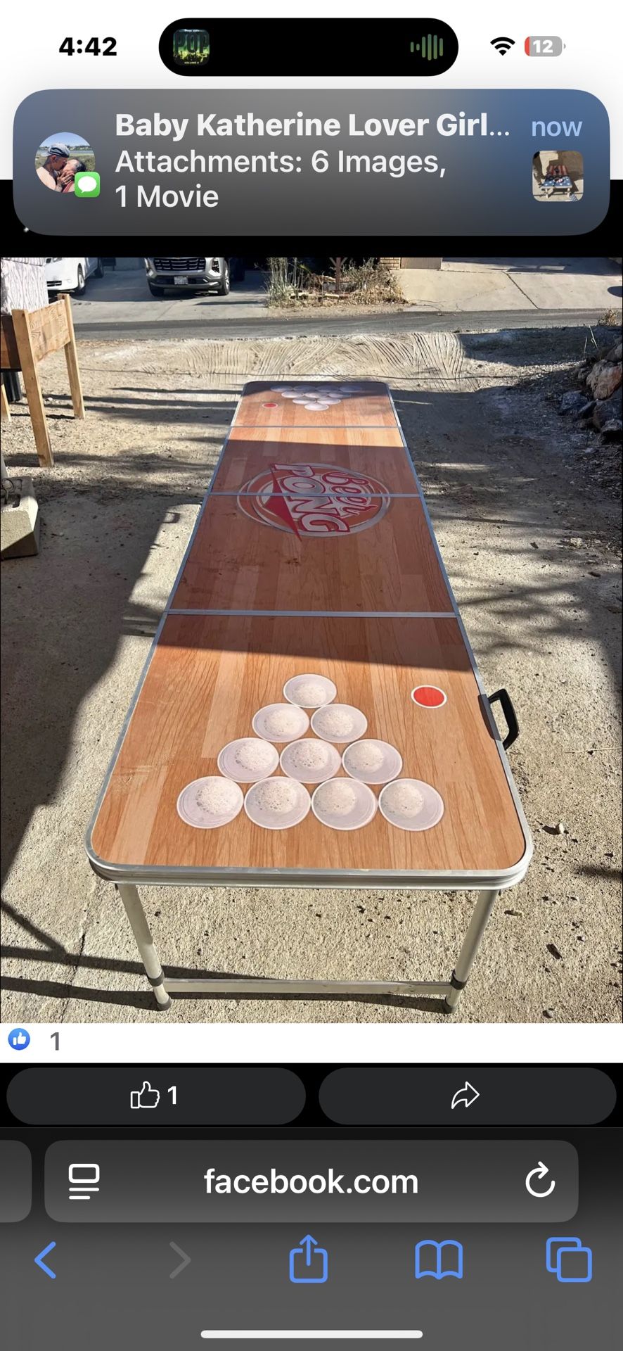 Portable Drinking GameTable
