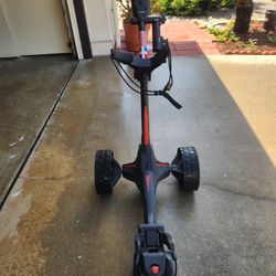 MGI ELECTRIC GOLF CART