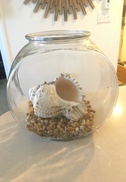 Fish bowl