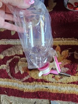 The BEST WATER BOTTLE for ur pet
