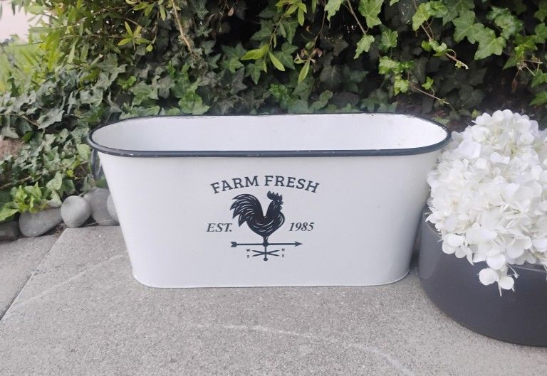 Rooster Farm Fresh Metal Bucket Pale