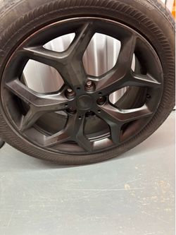 RIMS
