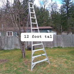 12' Orcgard Ladder