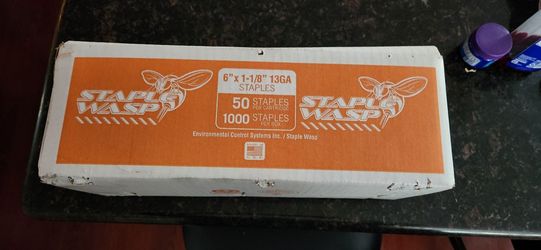 Staple Wasp Staples