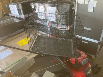 Dogs stuff