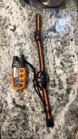 Dog training collar
