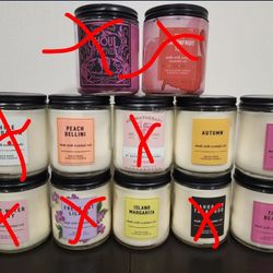 Bath And Body Works Single Wick Candle 