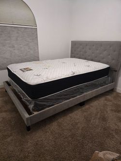 Newer twin mattress & Box Springs