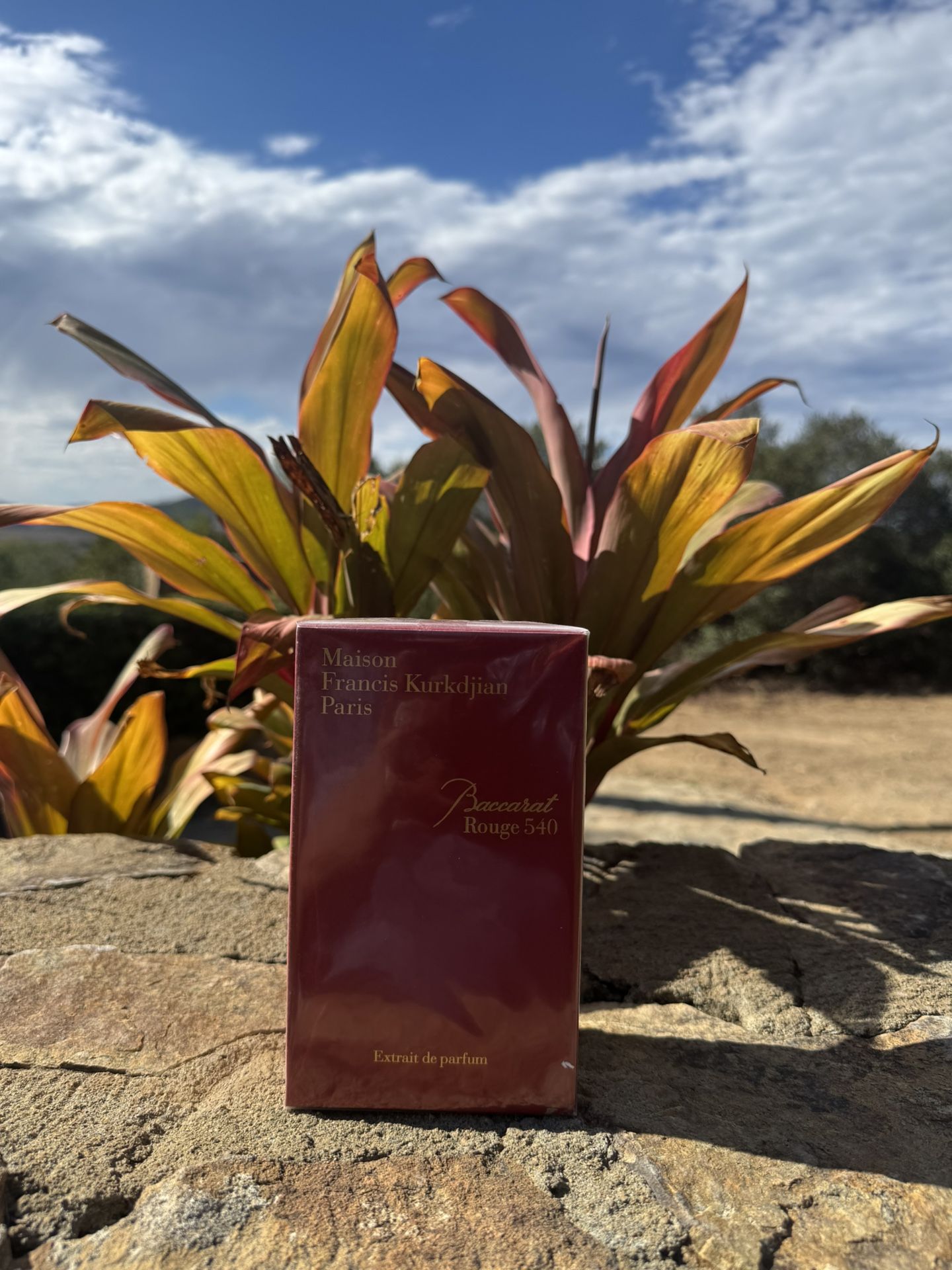 Maison Francis Kurkdjian Paris Baccarat Rouge 540 🪵