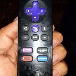 Roku Tv Control 