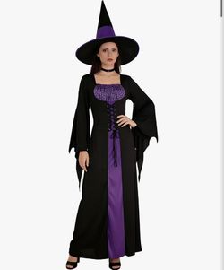 Witch Costume Purple Dress with Hat for Halloween (Large)